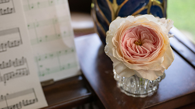 Download a zipped file of promotional materials in the Additional Assets section below.